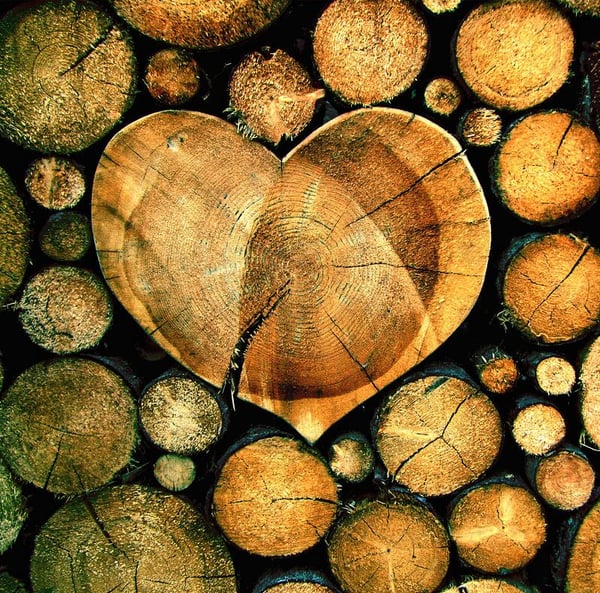 I benefici del legno in casa